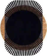 V1